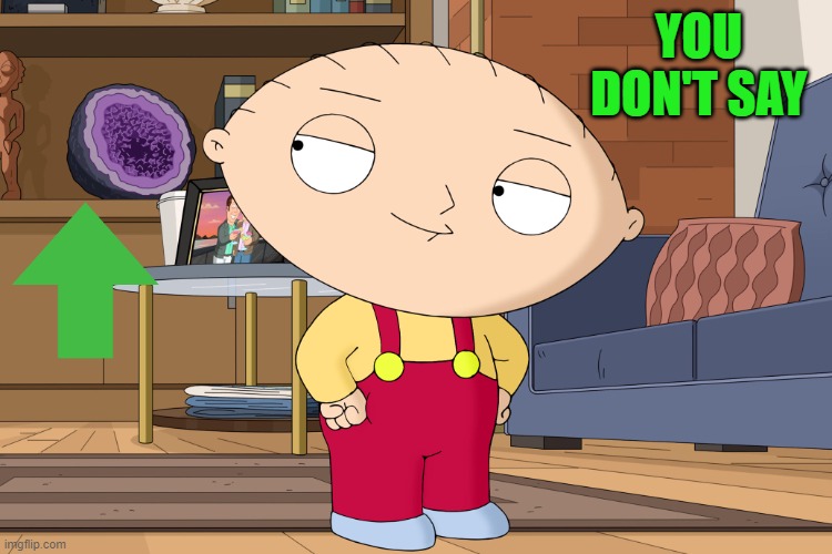 family guy | YOU DON'T SAY | image tagged in family guy | made w/ Imgflip meme maker