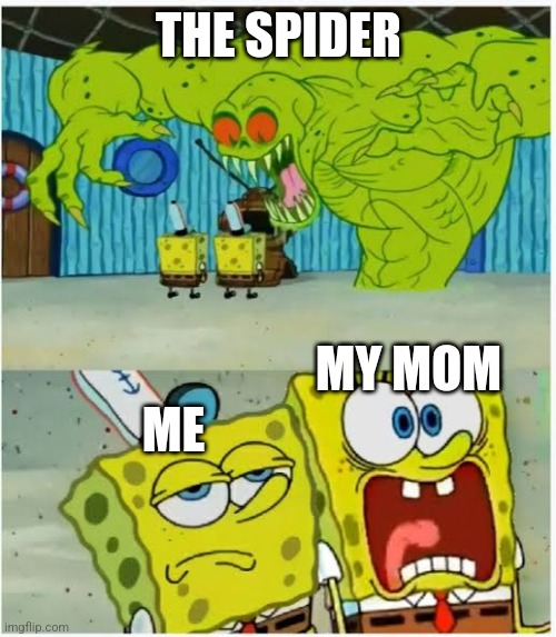 Sponge Bob Monster two expressions | THE SPIDER ME MY MOM | image tagged in sponge bob monster two expressions | made w/ Imgflip meme maker
