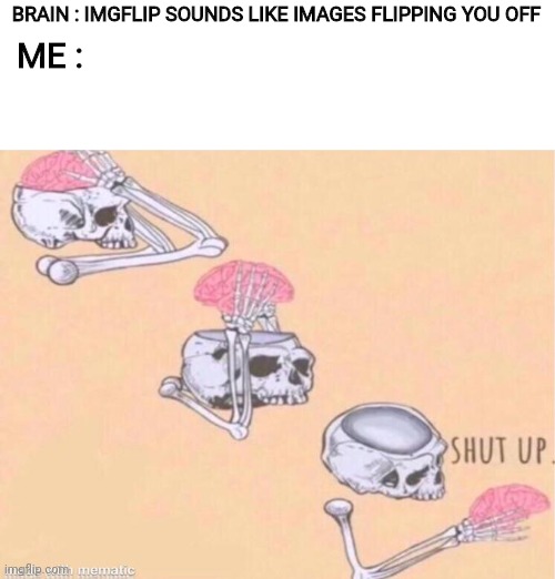 I repost my own memes but in other streams | BRAIN : IMGFLIP SOUNDS LIKE IMAGES FLIPPING YOU OFF; ME : | image tagged in skeleton shut up meme,yes,mmmmm,okay,shut up,wtf | made w/ Imgflip meme maker