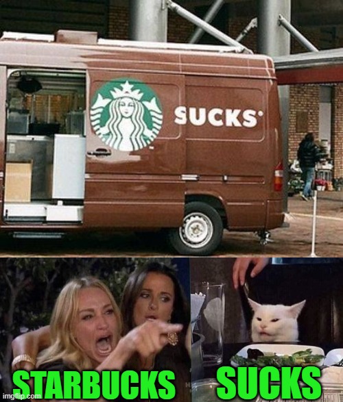 STARBUCKS | SUCKS; STARBUCKS | image tagged in woman yelling at cat | made w/ Imgflip meme maker
