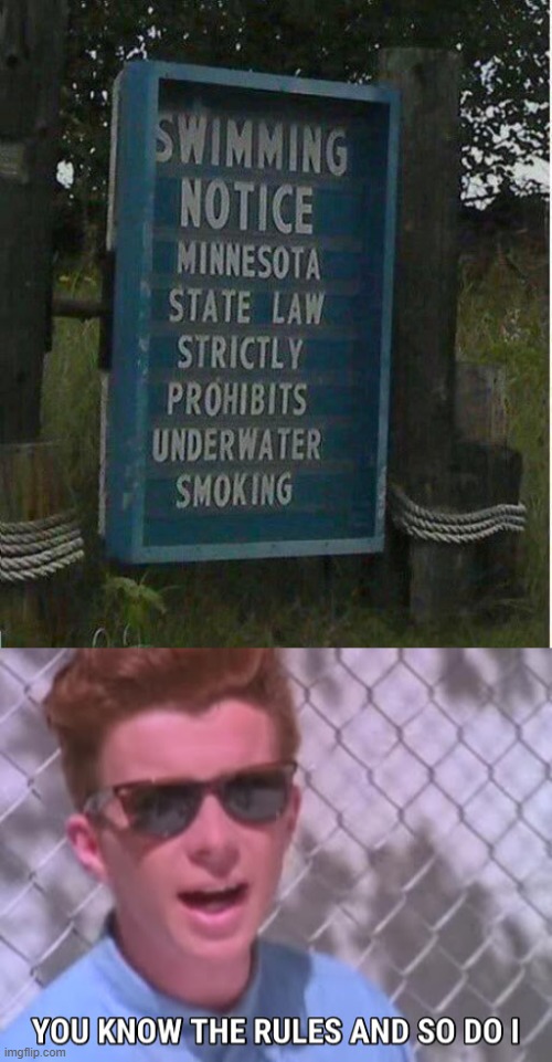 image tagged in rick astley you know the rules | made w/ Imgflip meme maker