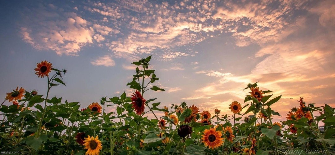 image tagged in awesome | made w/ Imgflip meme maker