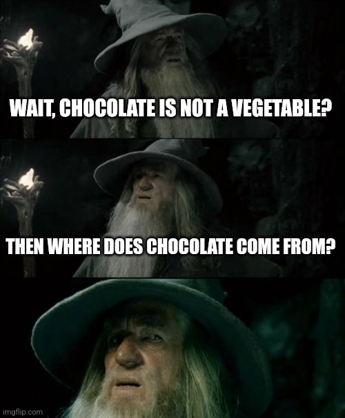 Chocolate comes from cocoa beans | WAIT, CHOCOLATE IS NOT A VEGETABLE? THEN WHERE DOES CHOCOLATE COME FROM? | image tagged in memes,confused gandalf,chocolate | made w/ Imgflip meme maker