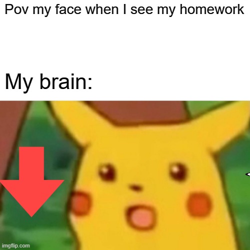 iq -100000 | Pov my face when I see my homework; My brain: | image tagged in memes,surprised pikachu | made w/ Imgflip meme maker