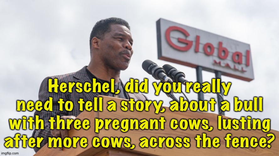 The last guy who should be telling that story | Herschel, did you really need to tell a story, about a bull with three pregnant cows, lusting after more cows, across the fence? | image tagged in herschel walker | made w/ Imgflip meme maker