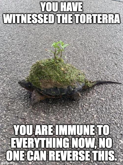 Torterra irl | YOU HAVE WITNESSED THE TORTERRA; YOU ARE IMMUNE TO EVERYTHING NOW, NO ONE CAN REVERSE THIS. | image tagged in torterra irl | made w/ Imgflip meme maker