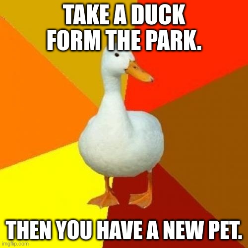 free pet hack. | TAKE A DUCK FORM THE PARK. THEN YOU HAVE A NEW PET. | image tagged in memes,tech impaired duck | made w/ Imgflip meme maker