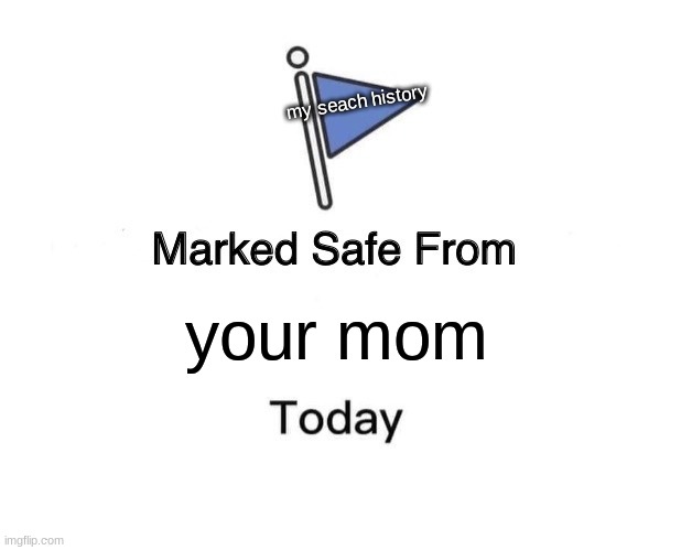 Marked Safe From Meme | my seach history; your mom | image tagged in memes,marked safe from | made w/ Imgflip meme maker