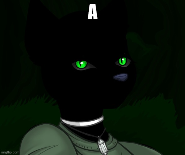 My new panther fursona | A | image tagged in my new panther fursona | made w/ Imgflip meme maker