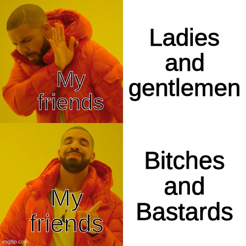 i have a weird friend group :D | Ladies and gentlemen; My friends; Bitches and Bastards; My friends | image tagged in memes,drake hotline bling | made w/ Imgflip meme maker