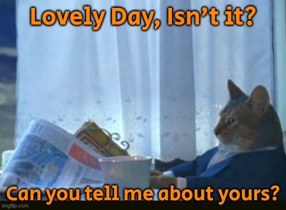 You can Tell me about your day. | Lovely Day, Isn't it? Can you tell me about yours? | image tagged in cat | made w/ Imgflip meme maker