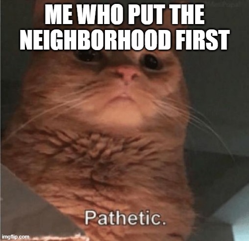 Pathetic Cat | ME WHO PUT THE NEIGHBORHOOD FIRST | image tagged in pathetic cat | made w/ Imgflip meme maker