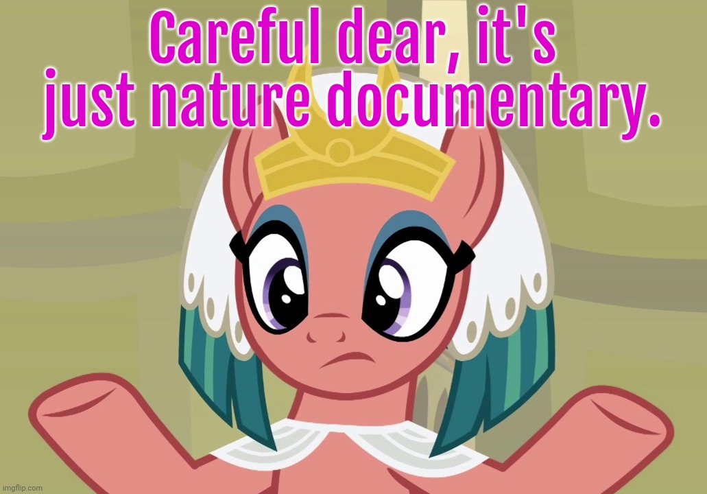 Concerned Somnambula (MLP) | Careful dear, it's just nature documentary. | image tagged in concerned somnambula mlp | made w/ Imgflip meme maker
