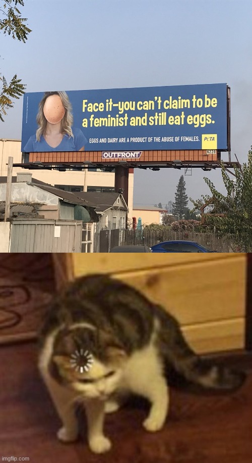 What the fudge | image tagged in loading cat,peta,eggs,cursed image | made w/ Imgflip meme maker