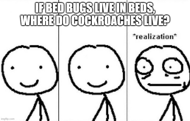 Uhhh | IF BED BUGS LIVE IN BEDS, WHERE DO COCKROACHES LIVE? | image tagged in realization,cockroach | made w/ Imgflip meme maker