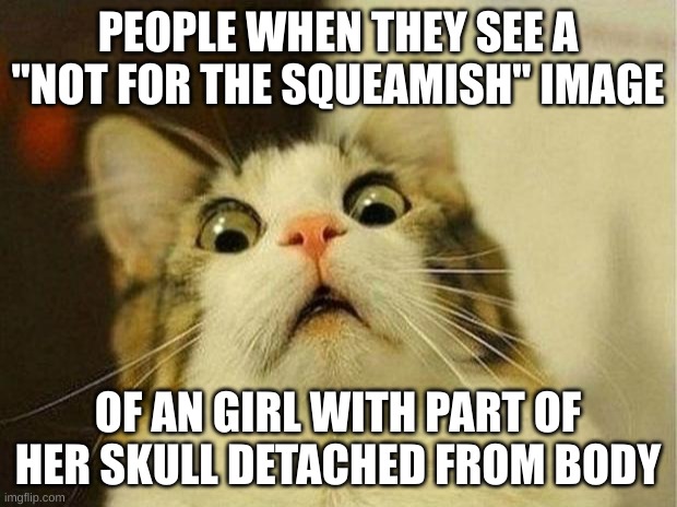 First time. | PEOPLE WHEN THEY SEE A "NOT FOR THE SQUEAMISH" IMAGE; OF AN GIRL WITH PART OF HER SKULL DETACHED FROM BODY | image tagged in memes,scared cat | made w/ Imgflip meme maker