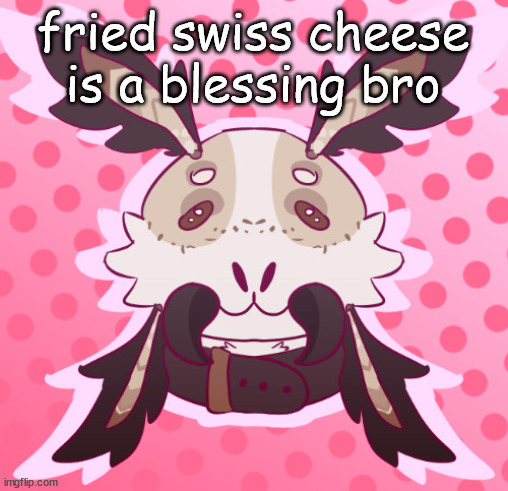 meat <3 by MothTheProtogen | fried swiss cheese is a blessing bro | image tagged in meat 3 by moththeprotogen | made w/ Imgflip meme maker