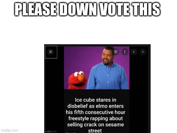 PLEASE DOWN VOTE THIS | image tagged in fun | made w/ Imgflip meme maker