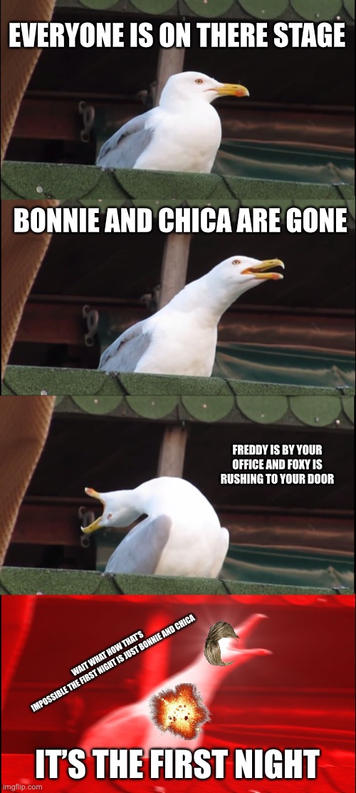 Seagull playing fnaf | EVERYONE IS ON THERE STAGE; BONNIE AND CHICA ARE GONE; FREDDY IS BY YOUR OFFICE AND FOXY IS RUSHING TO YOUR DOOR; WAIT WHAT HOW THAT’S IMPOSSIBLE THE FIRST NIGHT IS JUST BONNIE AND CHICA; IT’S THE FIRST NIGHT | image tagged in memes,inhaling seagull | made w/ Imgflip meme maker
