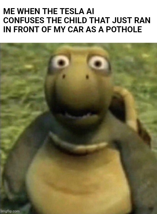 shocked turtle | ME WHEN THE TESLA AI CONFUSES THE CHILD THAT JUST RAN IN FRONT OF MY CAR AS A POTHOLE | image tagged in shocked turtle | made w/ Imgflip meme maker