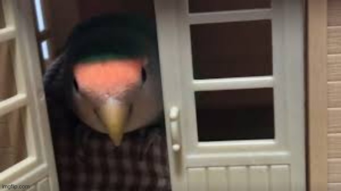 houz | made w/ Imgflip meme maker