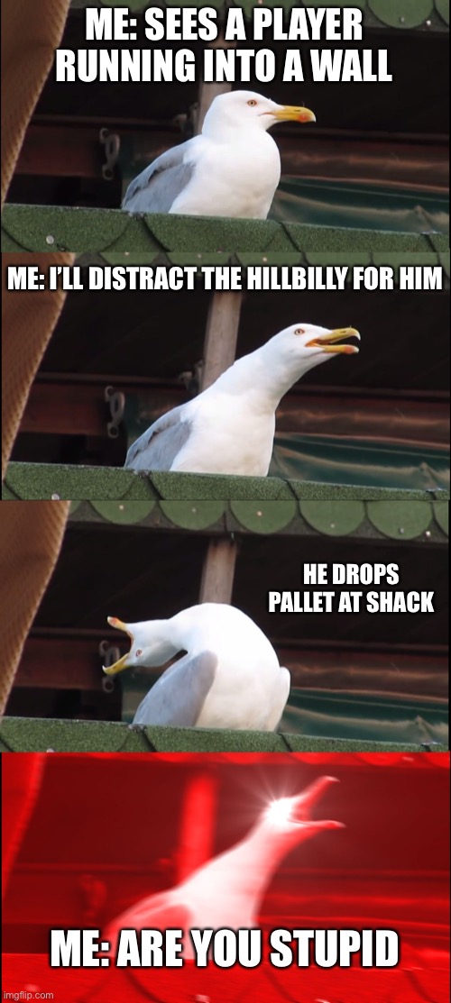 Dead by daylight matchmaking be like | ME: SEES A PLAYER RUNNING INTO A WALL; ME: I’LL DISTRACT THE HILLBILLY FOR HIM; HE DROPS PALLET AT SHACK; ME: ARE YOU STUPID | image tagged in memes,inhaling seagull | made w/ Imgflip meme maker