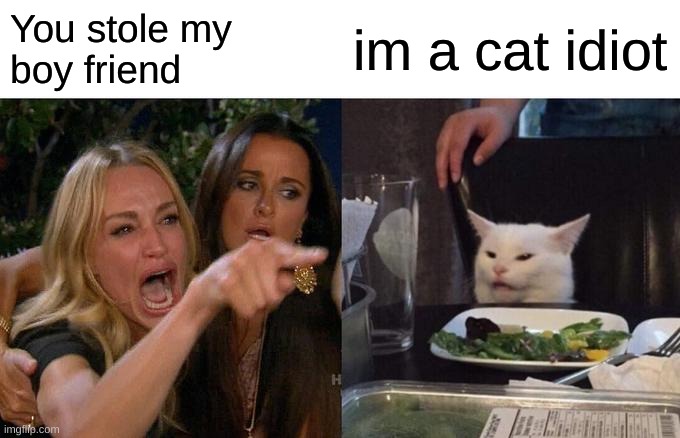 Woman Yelling At Cat Meme | You stole my 
boy friend; im a cat idiot | image tagged in memes,woman yelling at cat | made w/ Imgflip meme maker