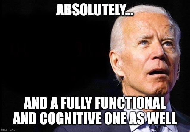 ABSOLUTELY... AND A FULLY FUNCTIONAL AND COGNITIVE ONE AS WELL | made w/ Imgflip meme maker