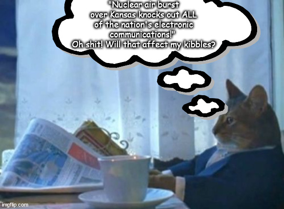 Oh, my Kibbles! | "Nuclear air burst over Kansas knocks out ALL of the nation's electronic communications!" 
Oh shit! Will that affect my kibbles? | image tagged in memes,politics | made w/ Imgflip meme maker