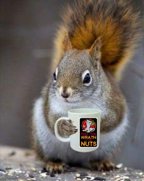 Feel the wrath of my nuts | image tagged in squirrel nuts,coffee,funny memes,comics/cartoons,goth | made w/ Imgflip meme maker