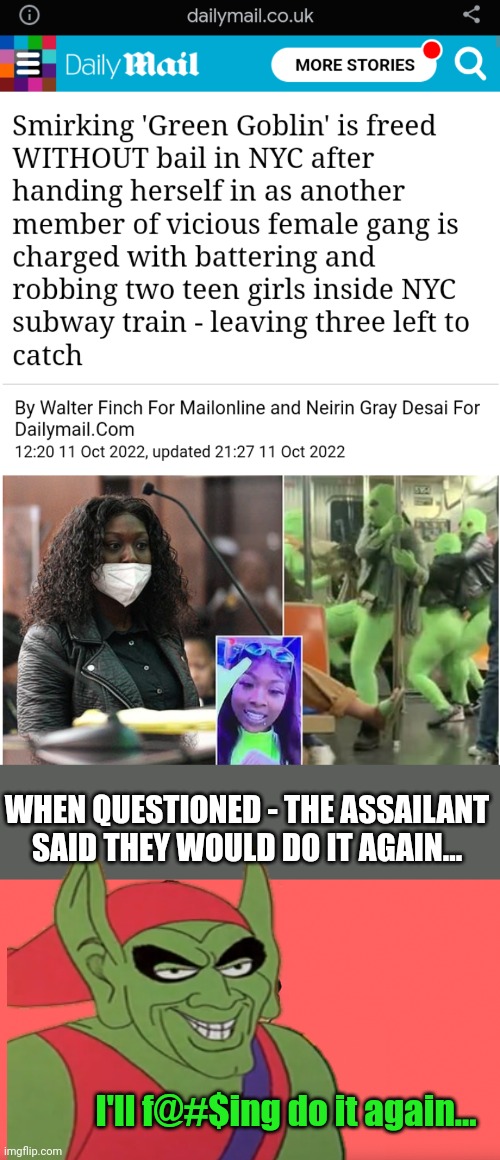 WHEN QUESTIONED - THE ASSAILANT SAID THEY WOULD DO IT AGAIN... I'll f@#$ing do it again... | image tagged in i'll do it again,green goblin,gang,new york city,subway | made w/ Imgflip meme maker