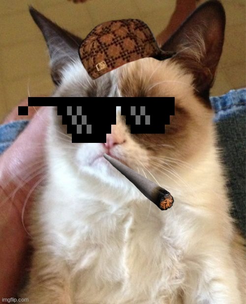 cat smokeing weed | image tagged in memes,grumpy cat | made w/ Imgflip meme maker