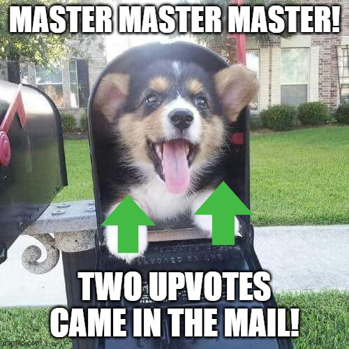 when your dog found some upvotes | MASTER MASTER MASTER! TWO UPVOTES CAME IN THE MAIL! | image tagged in cute doggo in mailbox,upvotes,cuteness overload | made w/ Imgflip meme maker
