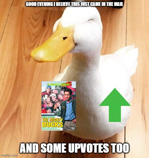 what a nice little duck | GOOD EVENING I BELIEVE THIS JUST CAME IN THE MAIL; AND SOME UPVOTES TOO | image tagged in smile duck,ducks,cuteness overload,disney,upvotes | made w/ Imgflip meme maker