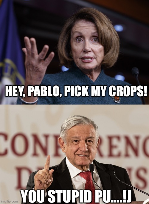 HEY, PABLO, PICK MY CROPS! YOU STUPID PU….!J | image tagged in good old nancy pelosi,amlo | made w/ Imgflip meme maker