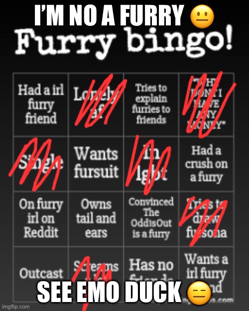 Furry bingo | I’M NO A FURRY 😐; SEE EMO DUCK 😑 | image tagged in furry bingo | made w/ Imgflip meme maker