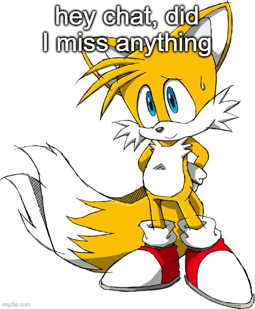 hey chat, did I miss anything | image tagged in tails | made w/ Imgflip meme maker