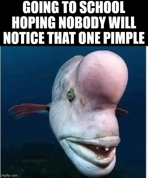 GOING TO SCHOOL HOPING NOBODY WILL NOTICE THAT ONE PIMPLE | image tagged in middle school | made w/ Imgflip meme maker