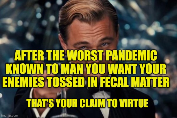 Leonardo Dicaprio Cheers Meme | AFTER THE WORST PANDEMIC KNOWN TO MAN YOU WANT YOUR ENEMIES TOSSED IN FECAL MATTER THAT'S YOUR CLAIM TO VIRTUE | image tagged in memes,leonardo dicaprio cheers,virtue signalling,gone wrong,mentally unstable,robotnik pressing red button | made w/ Imgflip meme maker