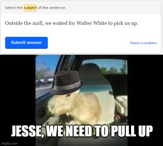 Walter White moment | JESSE, WE NEED TO PULL UP | image tagged in capybara | made w/ Imgflip meme maker