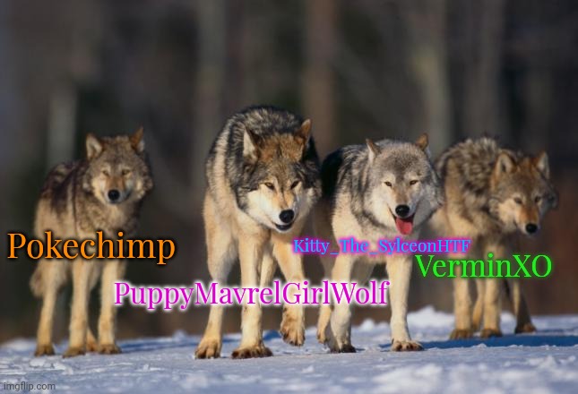 4 Best Wolves | Kitty_The_SylceonHTF; Pokechimp; PuppyMavrelGirlWolf; VerminXO | image tagged in pack of wolves | made w/ Imgflip meme maker