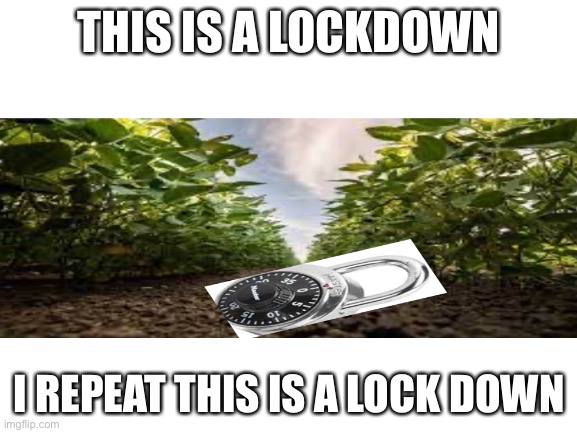 Lock down |  THIS IS A LOCKDOWN; I REPEAT THIS IS A LOCK DOWN | image tagged in i repeat,this,is,a,lock,down | made w/ Imgflip meme maker
