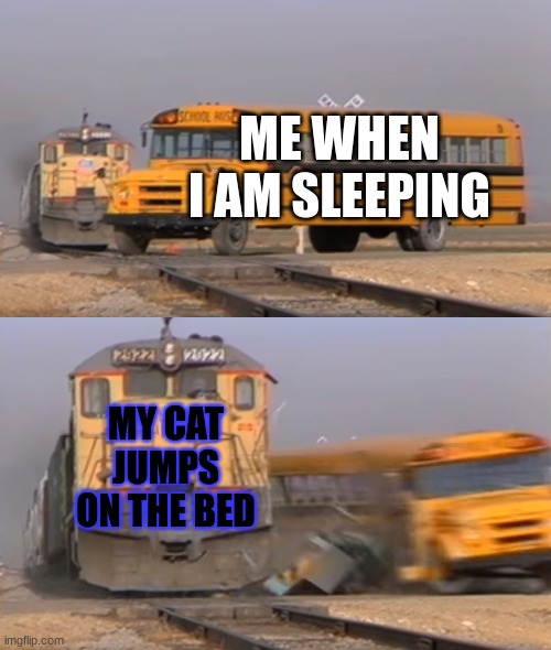 A train hitting a school bus | ME WHEN I AM SLEEPING; MY CAT JUMPS ON THE BED | image tagged in a train hitting a school bus | made w/ Imgflip meme maker