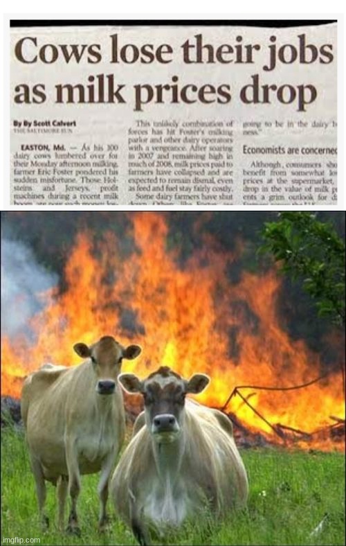 image tagged in memes,evil cows | made w/ Imgflip meme maker