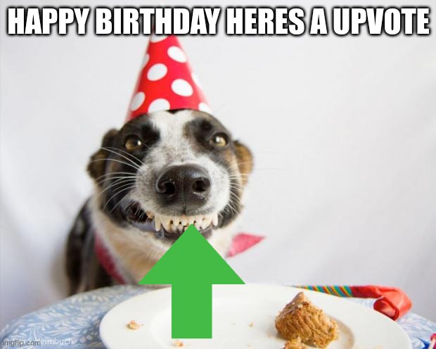 birthday dog | HAPPY BIRTHDAY HERES A UPVOTE | image tagged in birthday dog | made w/ Imgflip meme maker