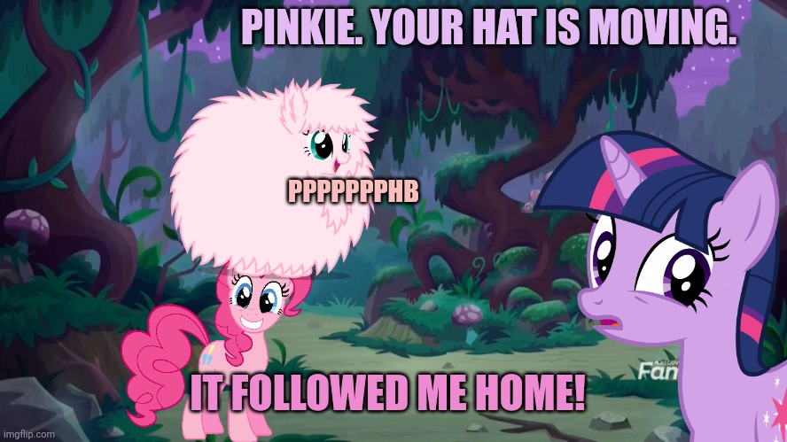 But why? Why would you do that? | PINKIE. YOUR HAT IS MOVING. PPPPPPPHB; IT FOLLOWED ME HOME! | image tagged in mlp forest,pinkie pie,stop it get some help | made w/ Imgflip meme maker