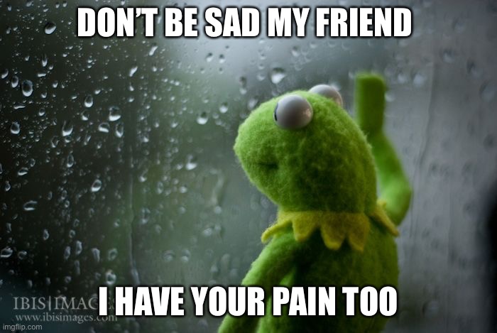 kermit window | DON’T BE SAD MY FRIEND I HAVE YOUR PAIN TOO | image tagged in kermit window | made w/ Imgflip meme maker