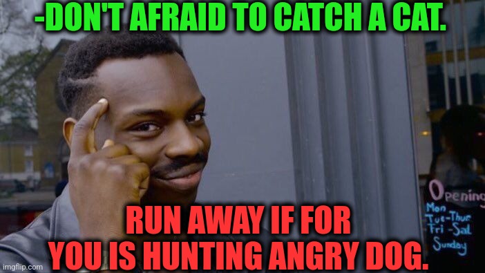 -Never good way. |  -DON'T AFRAID TO CATCH A CAT. RUN AWAY IF FOR YOU IS HUNTING ANGRY DOG. | image tagged in memes,roll safe think about it,gotta catch em all,warrior cats,raydog,hunter x hunter | made w/ Imgflip meme maker