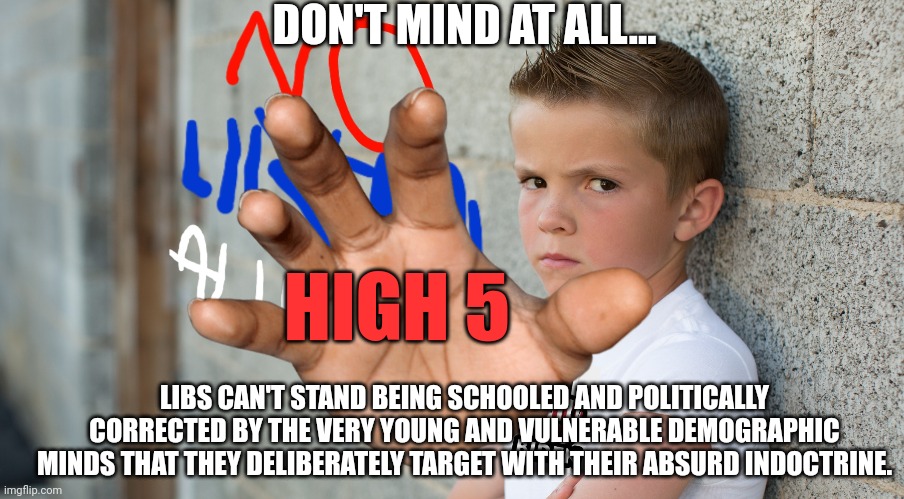 DON'T MIND AT ALL... LIBS CAN'T STAND BEING SCHOOLED AND POLITICALLY CORRECTED BY THE VERY YOUNG AND VULNERABLE DEMOGRAPHIC MINDS THAT THEY  | made w/ Imgflip meme maker