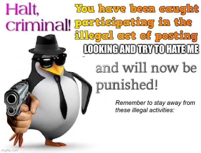 halt criminal! | LOOKING AND TRY TO HATE ME | image tagged in halt criminal | made w/ Imgflip meme maker